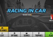 Racing in Car -       