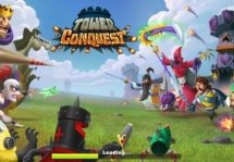 Tower Conquest -      