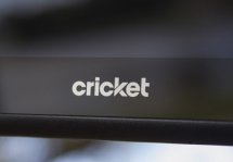  Cricket -   