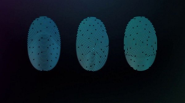Сканер отпечатков пальцев в смартфоне (Touch ID) Сканер отпечатков пальцев в смартфоне (Touch ID)