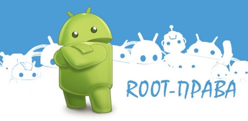     root-