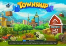 Township -      