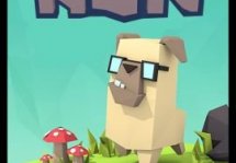 Cliffy Run  -     
