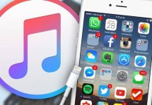     iTunes  iPhone