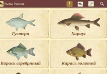 Обзор Android-приложения «Рыбы России»
