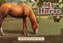 My Horse -     