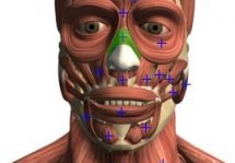 Visual Anatomy  - качественное приложение про анатомию человека