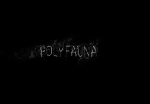 PolyFauna - крайне необычное приложение про путешествия в другие миры
