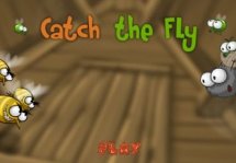 Catch the Fly - мультяшная аркада про паука и летающих насекомых