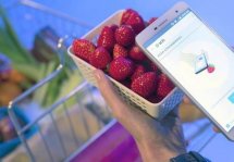 Смартфон с новым приложением проверит качество фруктов и овощей на рынке