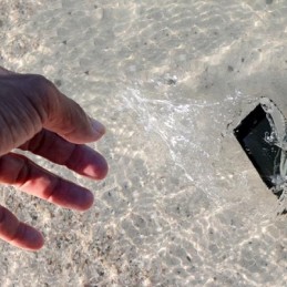 Самодурство чиновника: чтобы извлечь утонувший смартфон, был осушен водоем