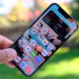 Обсуждается запрет на импорт в РФ смартфонов Samsung и LG, но Apple это не коснется