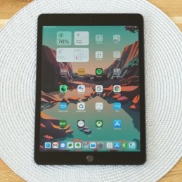 Apple продолжил удерживать лидерство на рынке планшетов в 2024 году